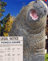 LOLRUS - Bucket Foreclosure