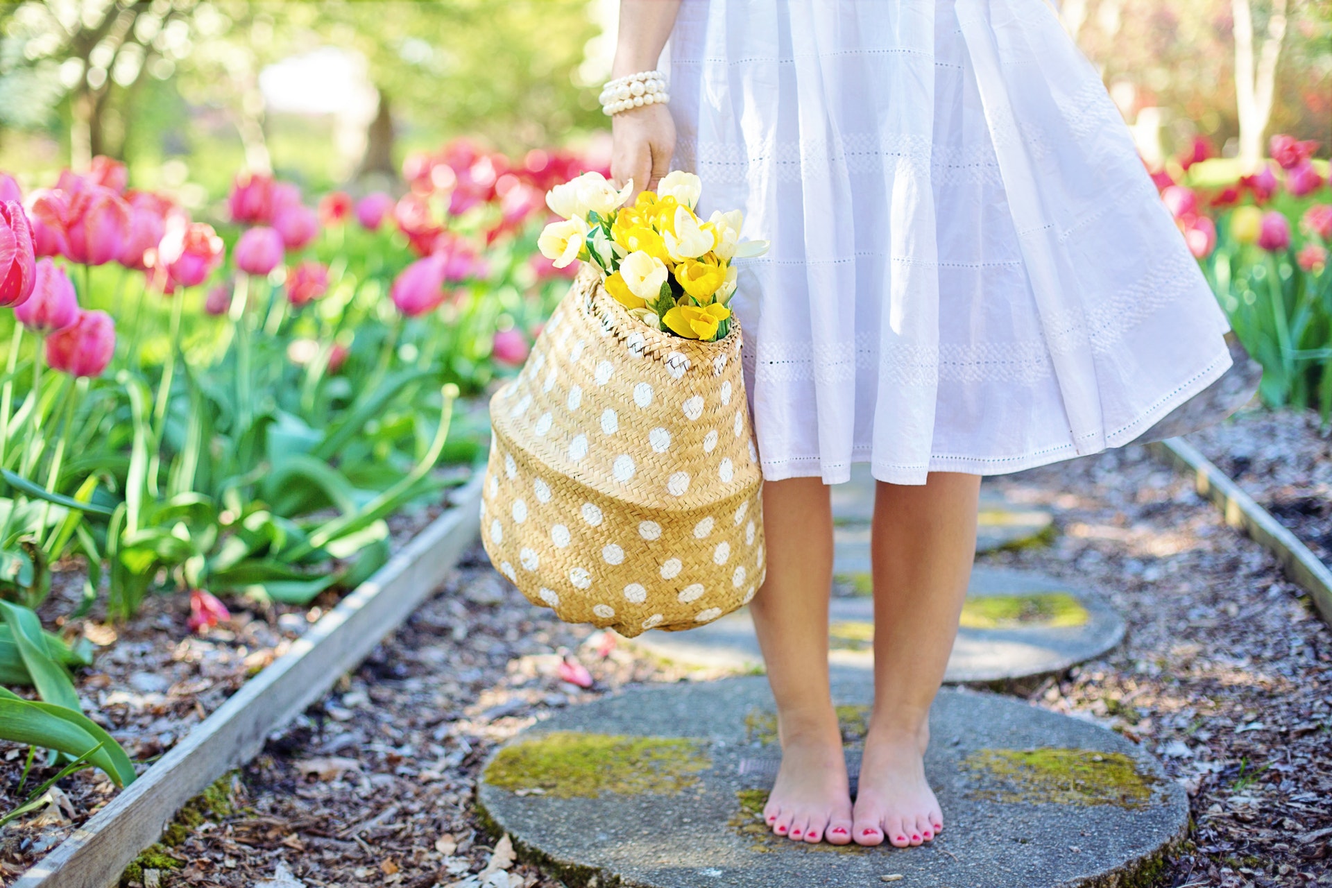 Renovating Your Garden